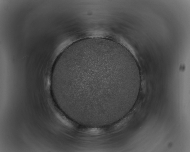 X0000102350059200808081204