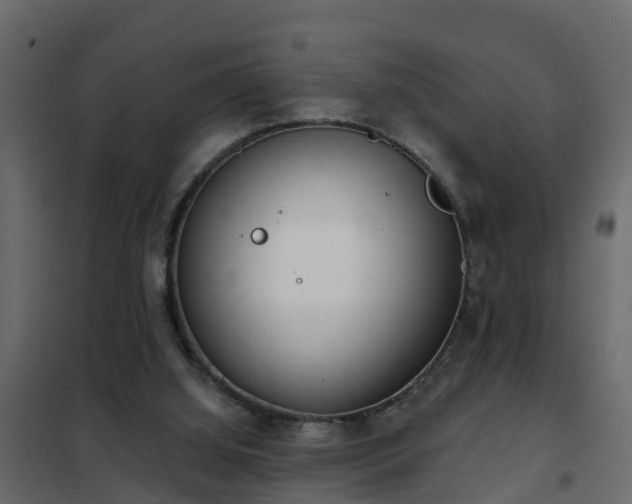 X0000102350060200808081204