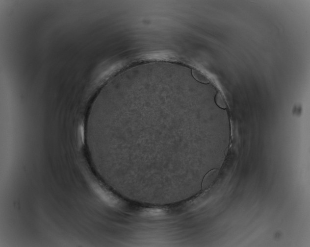 X0000102350061200808081204