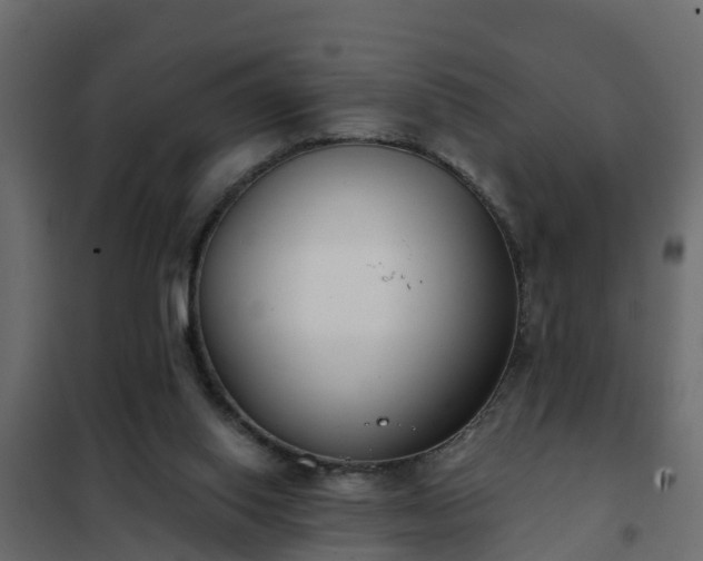 X0000102350062200808081204