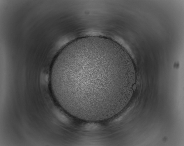 X0000102350063200808081204