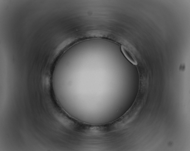 X0000102350064200808081204