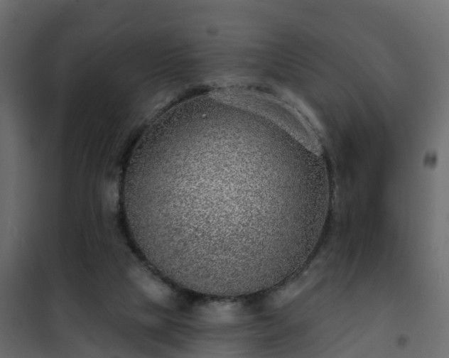 X0000102350065200808081204