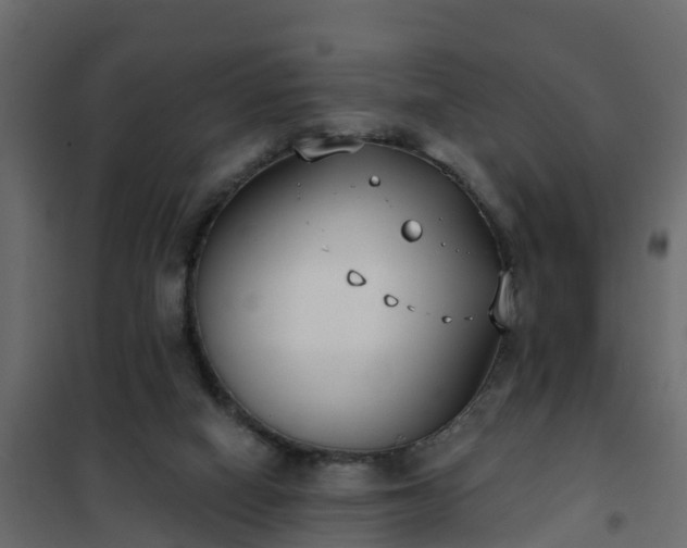 X0000102350066200808081204