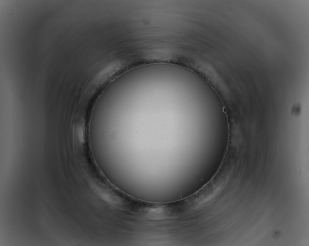 X0000102350068200808081204