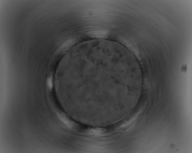 X0000102350069200808081204