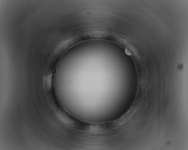 X0000102350070200808081204