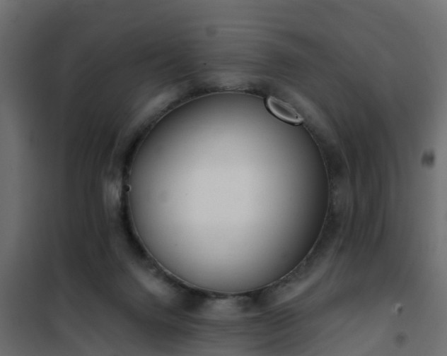 X0000102350072200808081204