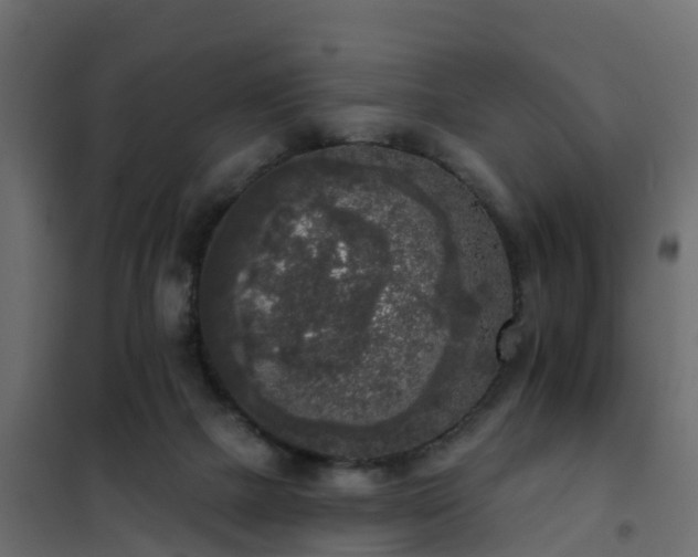 X0000102350073200808081204