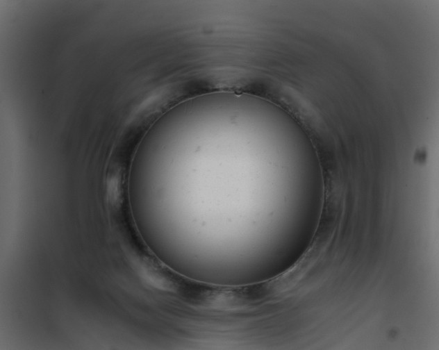 X0000102350074200808081204