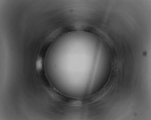 X0000102350075200808081204