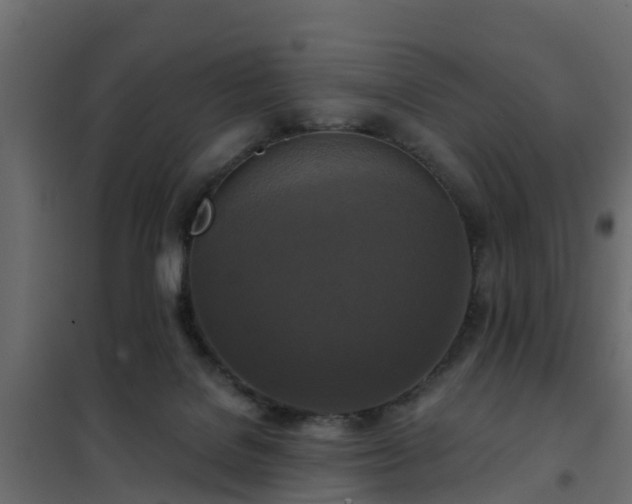 X0000102350076200808081204