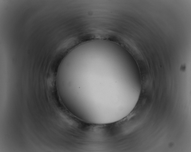 X0000102350078200808081204