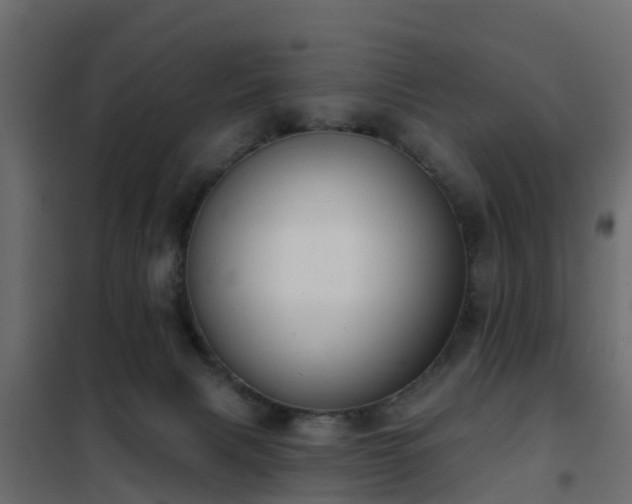 X0000102350079200808081204