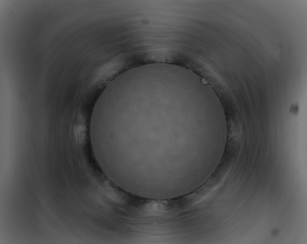 X0000102350080200808081204