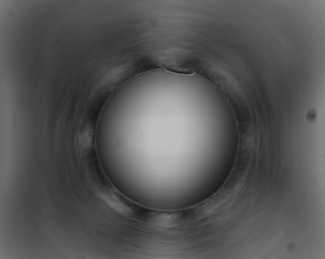 X0000102350081200808081204