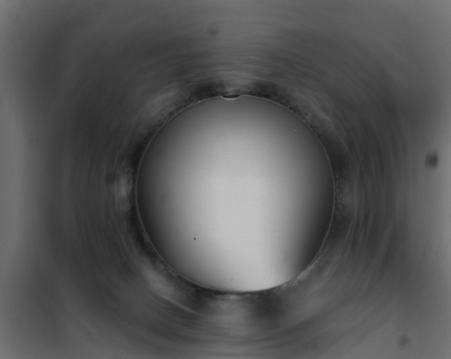 X0000102350082200808081204