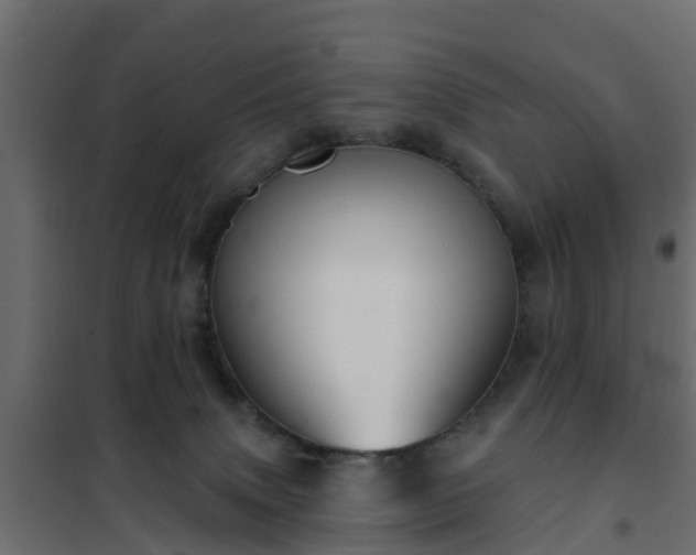 X0000102350083200808081204