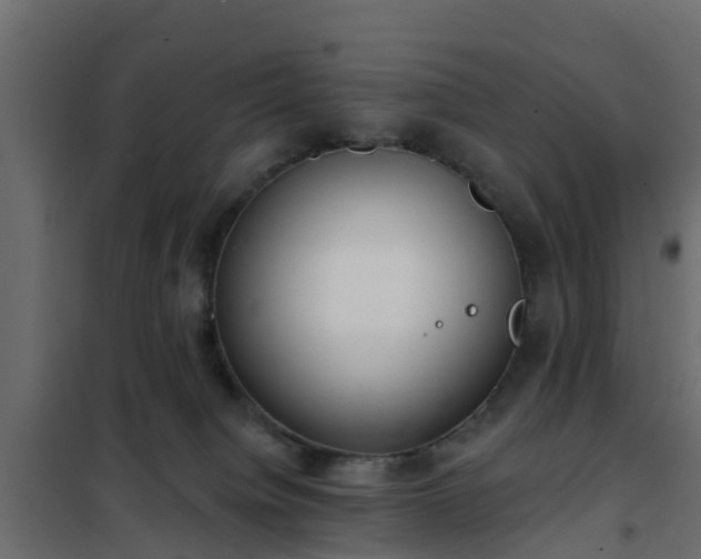 X0000102350084200808081204