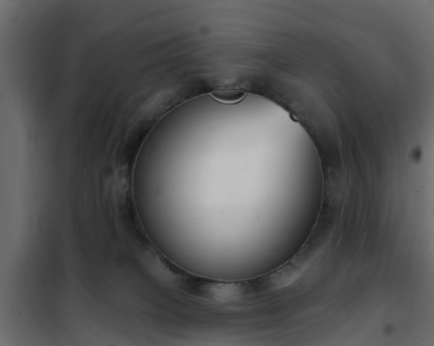 X0000102350085200808081204