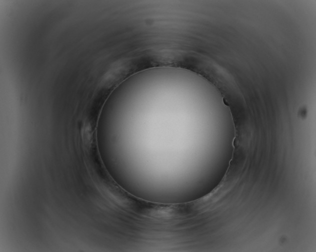 X0000102350086200808081204