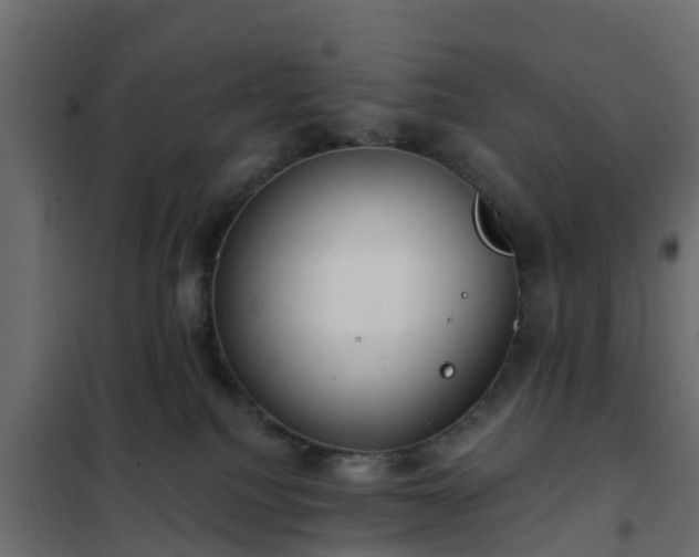 X0000102350088200808081204