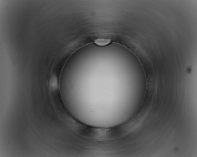 X0000102350089200808081204