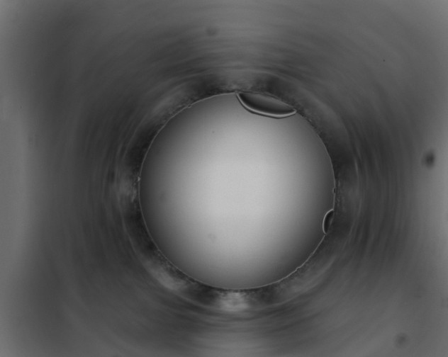 X0000102350091200808081204