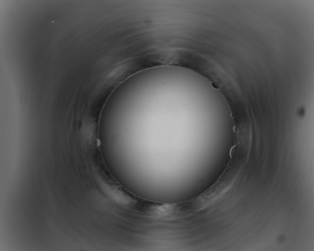 X0000102350092200808081204