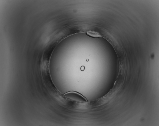 X0000102350093200808081204