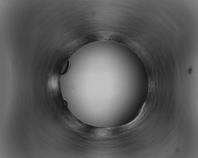 X0000102350094200808081204