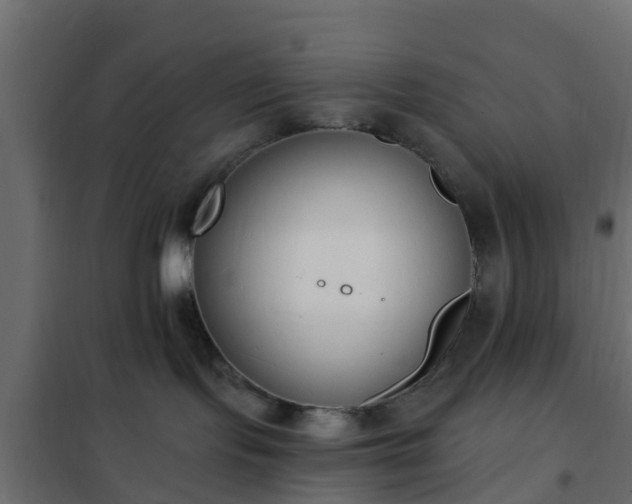 X0000102350095200808081204