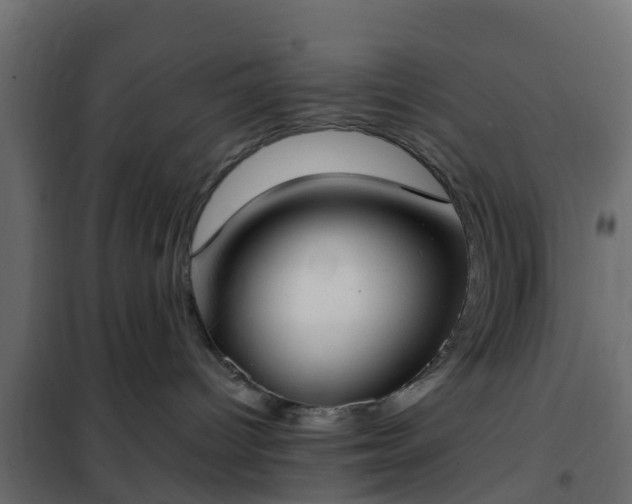 X0000102350096200808081204