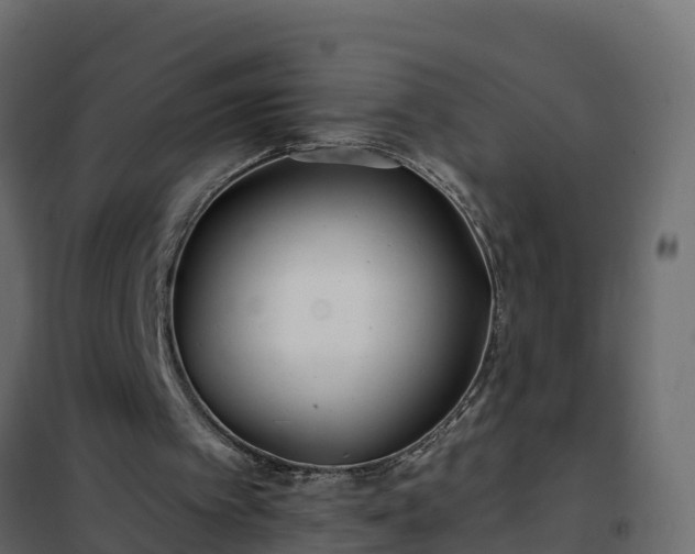 X0000102350097200808081204