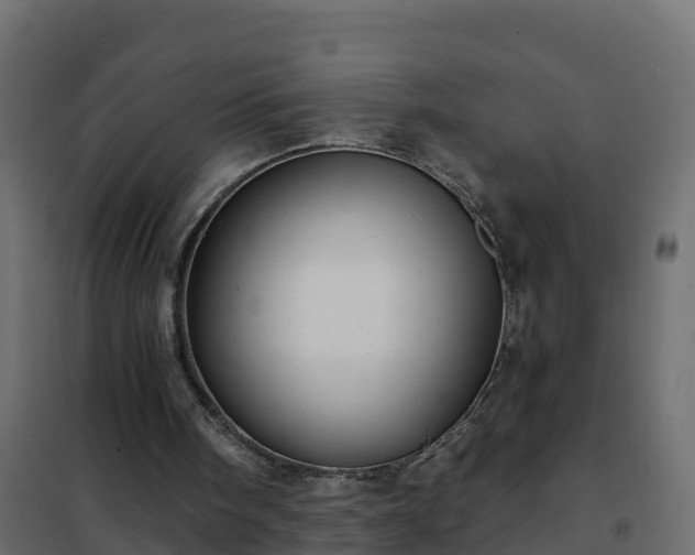 X0000102350098200808081204