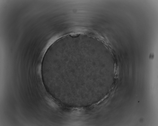 X0000102350099200808081204