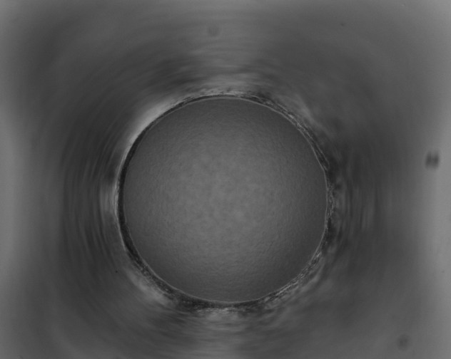 X0000102350100200808081204