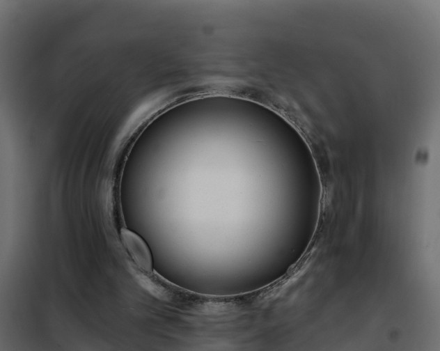 X0000102350101200808081204