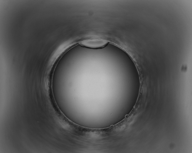 X0000102350103200808081204