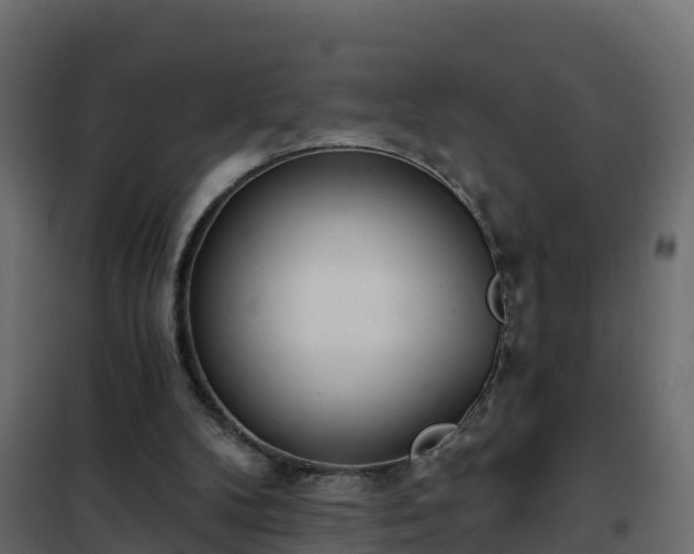 X0000102350104200808081204