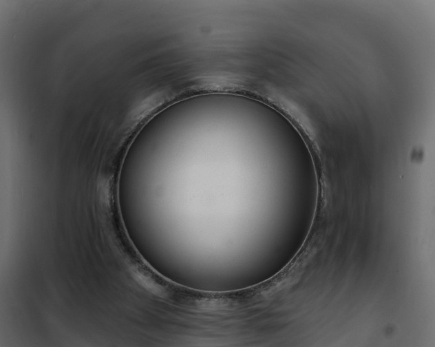 X0000102350105200808081204