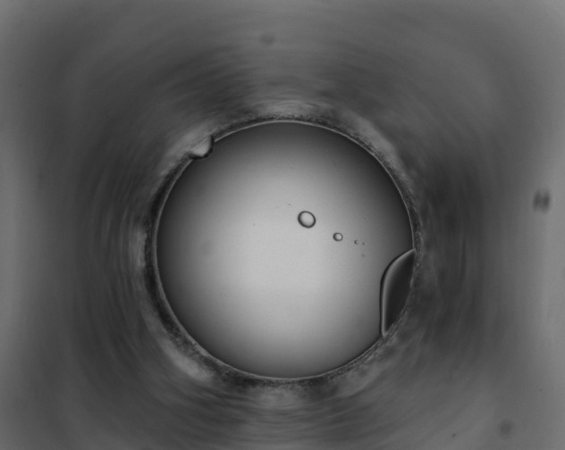 X0000102350106200808081204