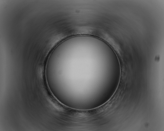 X0000102350107200808081204