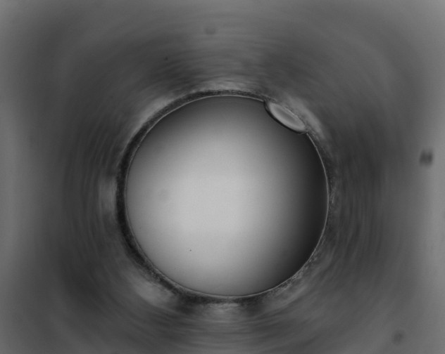 X0000102350108200808081203