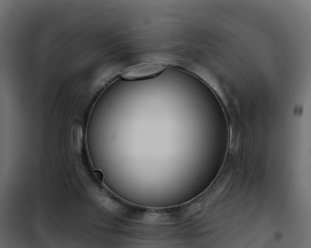 X0000102350109200808081203