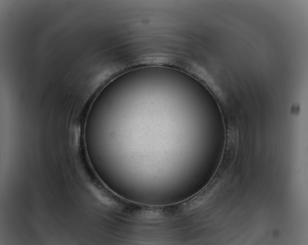 X0000102350110200808081203