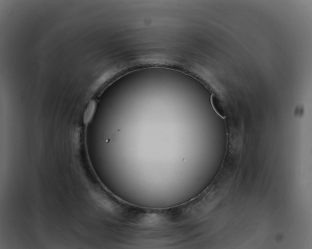 X0000102350111200808081203