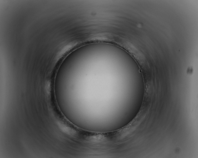 X0000102350112200808081203