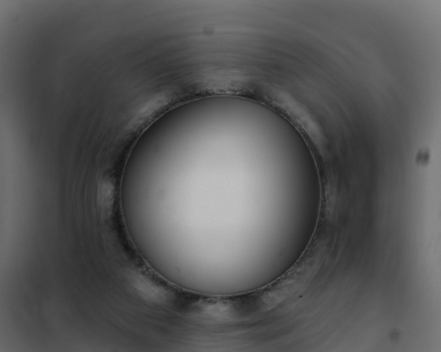 X0000102350113200808081203