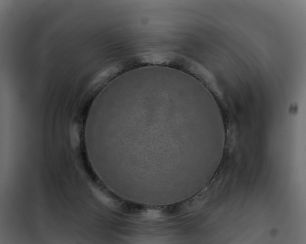 X0000102350114200808081203